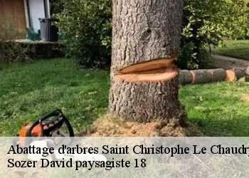 Abattage d'arbres  saint-christophe-le-chaudry-18270 Sozer David paysagiste 18