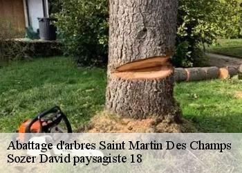 Abattage d'arbres  saint-martin-des-champs-18140 Sozer David paysagiste 18
