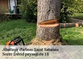 Abattage d'arbres  saint-saturnin-18370 Sozer David paysagiste 18