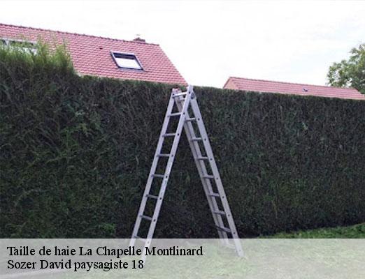 taille-de-haie-1