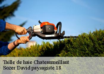 Taille de haie  chateaumeillant-18370 Sozer David paysagiste 18