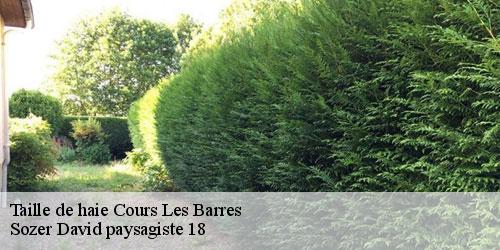 taille-de-haie-4