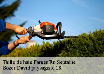 Taille de haie  farges-en-septaine-18800 Sozer David paysagiste 18