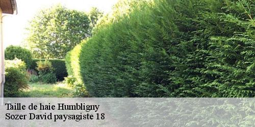 taille-de-haie-4