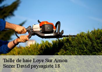 Taille de haie  loye-sur-arnon-18170 Sozer David paysagiste 18