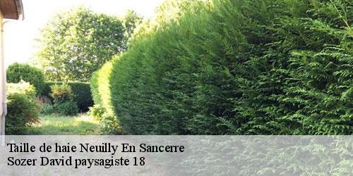 taille-de-haie-4