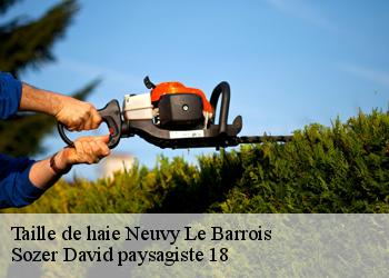 Taille de haie  neuvy-le-barrois-18600 Sozer David paysagiste 18