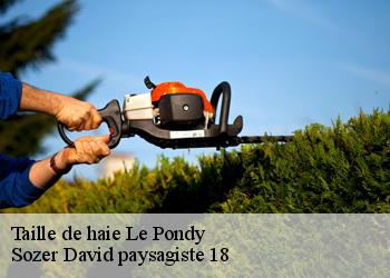 Taille de haie  le-pondy-18210 Sozer David paysagiste 18