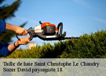 Taille de haie  saint-christophe-le-chaudry-18270 Sozer David paysagiste 18