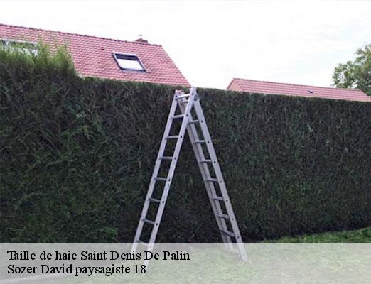 taille-de-haie-1