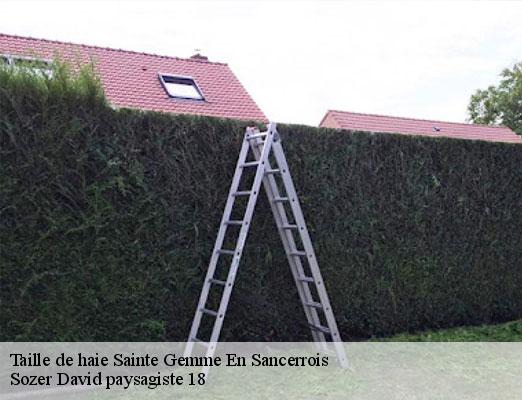 taille-de-haie-1