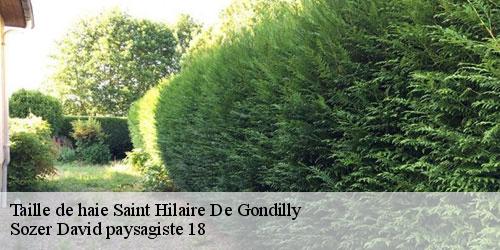 taille-de-haie-4