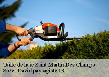 Taille de haie  saint-martin-des-champs-18140 Sozer David paysagiste 18