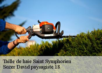 Taille de haie  saint-symphorien-18190 Sozer David paysagiste 18