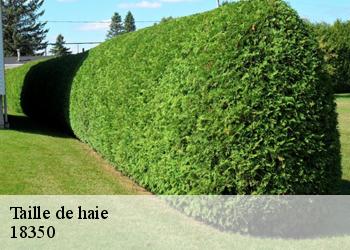 Taille de haie  18350