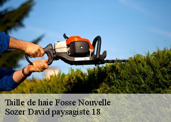 Taille de haie  fosse-nouvelle-18200 Sozer David paysagiste 18
