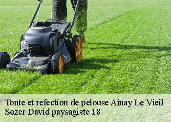 Tonte et refection de pelouse  ainay-le-vieil-18200 Sozer David paysagiste 18