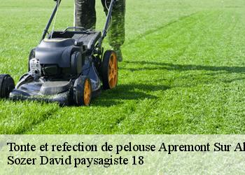 Tonte et refection de pelouse  apremont-sur-allier-18150 Sozer David paysagiste 18