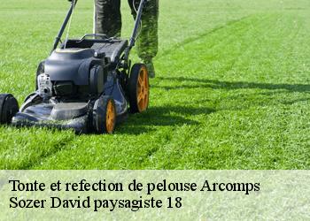 Tonte et refection de pelouse  arcomps-18200 Sozer David paysagiste 18