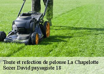 Tonte et refection de pelouse  la-chapelotte-18250 Sozer David paysagiste 18
