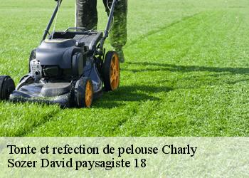 Tonte et refection de pelouse  charly-18350 Sozer David paysagiste 18