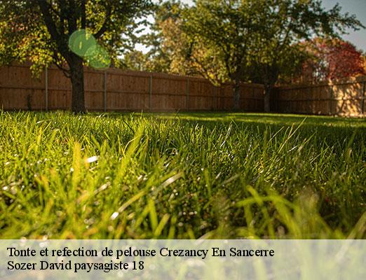 tonte-et-refection-de-pelouse-1