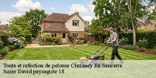 tonte-et-refection-de-pelouse-4