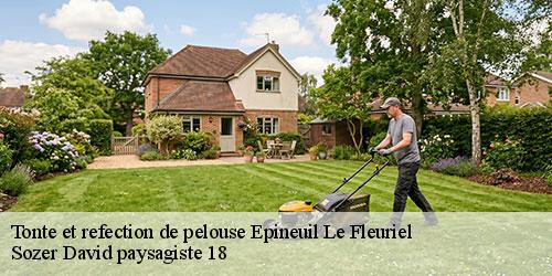 tonte-et-refection-de-pelouse-4