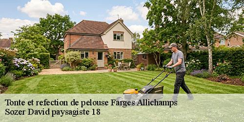 tonte-et-refection-de-pelouse-4