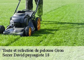 Tonte et refection de pelouse  gron-18800 Sozer David paysagiste 18