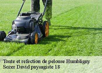 Tonte et refection de pelouse  humbligny-18250 Sozer David paysagiste 18