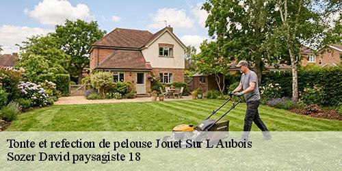tonte-et-refection-de-pelouse-4