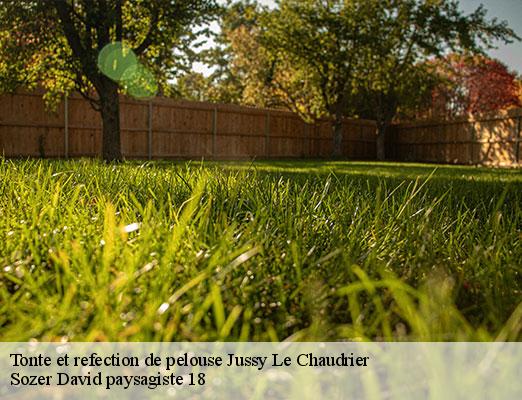 tonte-et-refection-de-pelouse-1