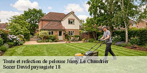 tonte-et-refection-de-pelouse-4