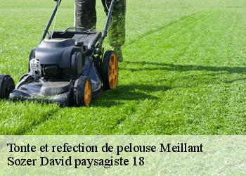 Tonte et refection de pelouse  meillant-18200 Sozer David paysagiste 18