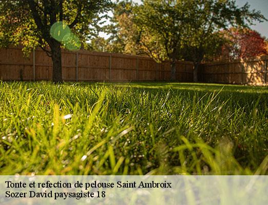 tonte-et-refection-de-pelouse-1