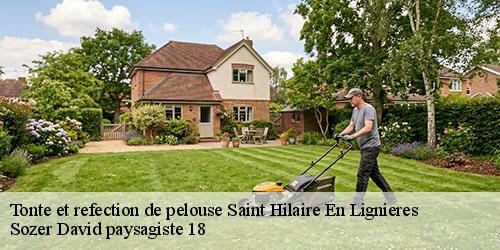 tonte-et-refection-de-pelouse-4