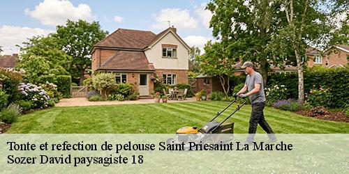 tonte-et-refection-de-pelouse-4