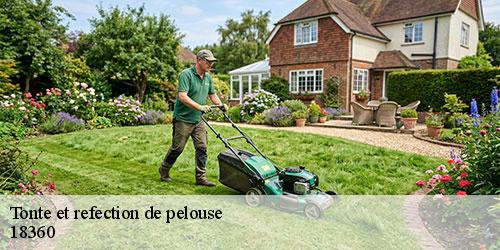 tonte-et-refection-de-pelouse-5