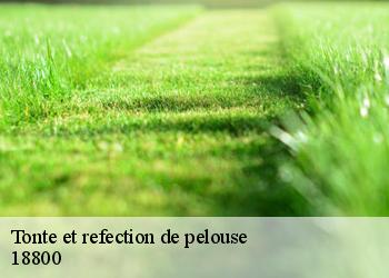 Tonte et refection de pelouse 18800