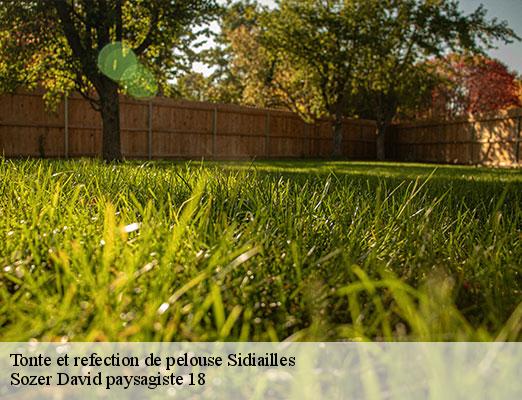 tonte-et-refection-de-pelouse-1