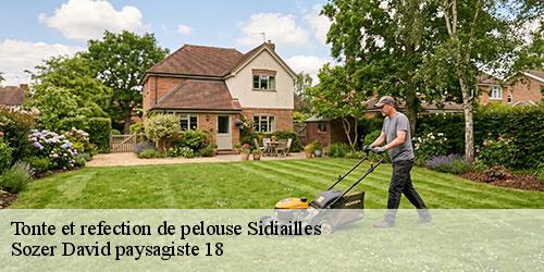 tonte-et-refection-de-pelouse-4