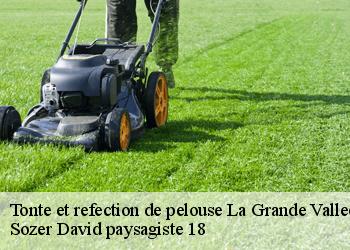 Tonte et refection de pelouse  la-grande-vallee-18350 Sozer David paysagiste 18