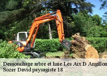 Dessouchage arbre et haie les-aix-d-angillon-18220 Sozer David paysagiste 18