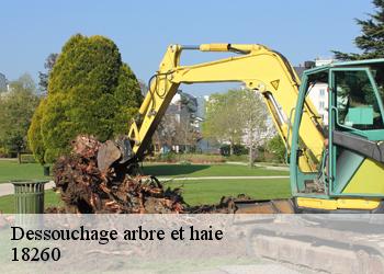 Dessouchage arbre et haie  18260