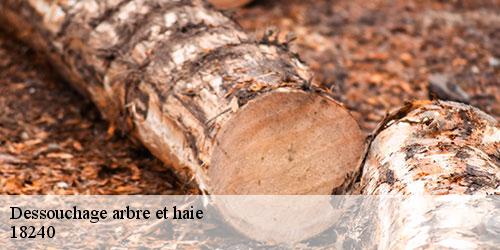 dessouchage-arbre-et-haie-5