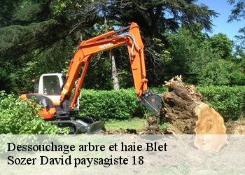 Dessouchage arbre et haie  blet-18350 Sozer David paysagiste 18