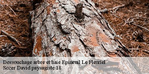 dessouchage-arbre-et-haie-4