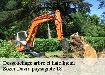 Dessouchage arbre et haie  ineuil-18160 Sozer David paysagiste 18