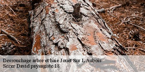 dessouchage-arbre-et-haie-4